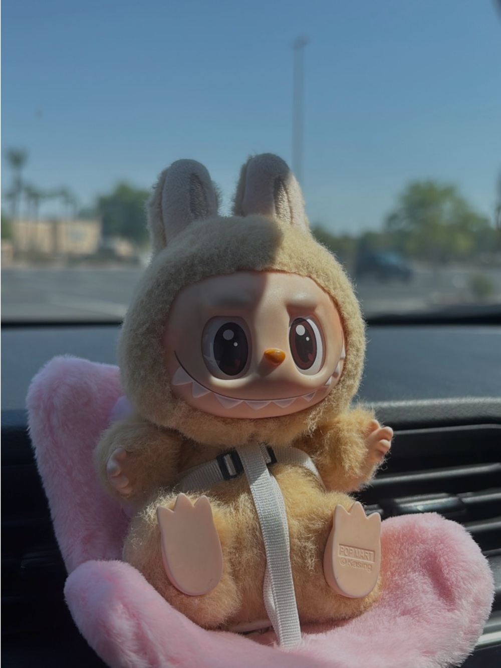 Labubu Have A Seat (does not include car seat)